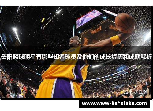岳阳篮球明星有哪些知名球员及他们的成长经历和成就解析