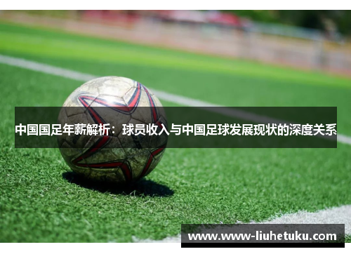 中国国足年薪解析：球员收入与中国足球发展现状的深度关系