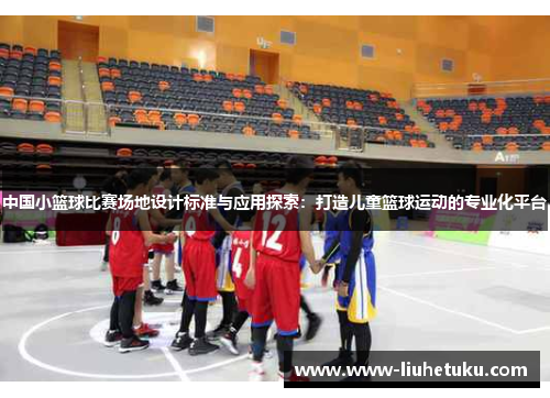 中国小篮球比赛场地设计标准与应用探索：打造儿童篮球运动的专业化平台