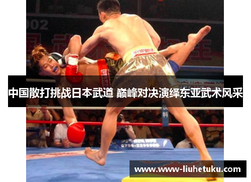 中国散打挑战日本武道 巅峰对决演绎东亚武术风采