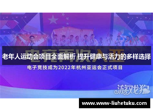 老年人运动会项目全面解析 提升健康与活力的多样选择