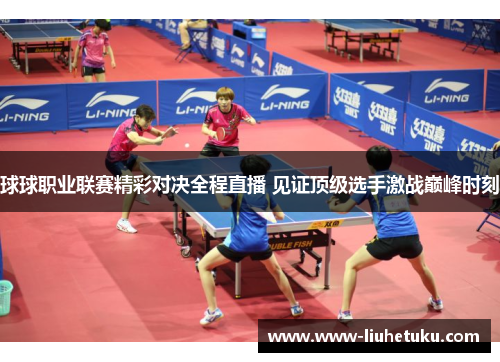 球球职业联赛精彩对决全程直播 见证顶级选手激战巅峰时刻