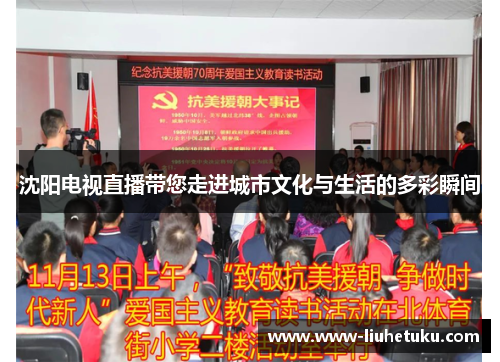沈阳电视直播带您走进城市文化与生活的多彩瞬间