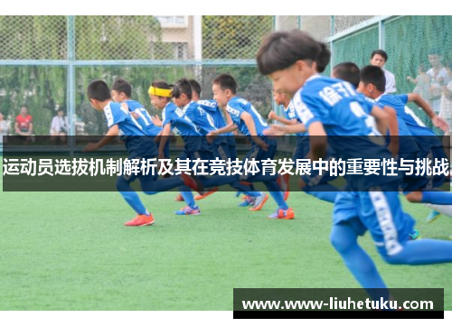 运动员选拔机制解析及其在竞技体育发展中的重要性与挑战