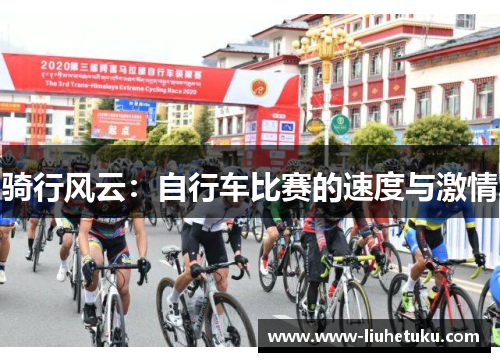 骑行风云：自行车比赛的速度与激情